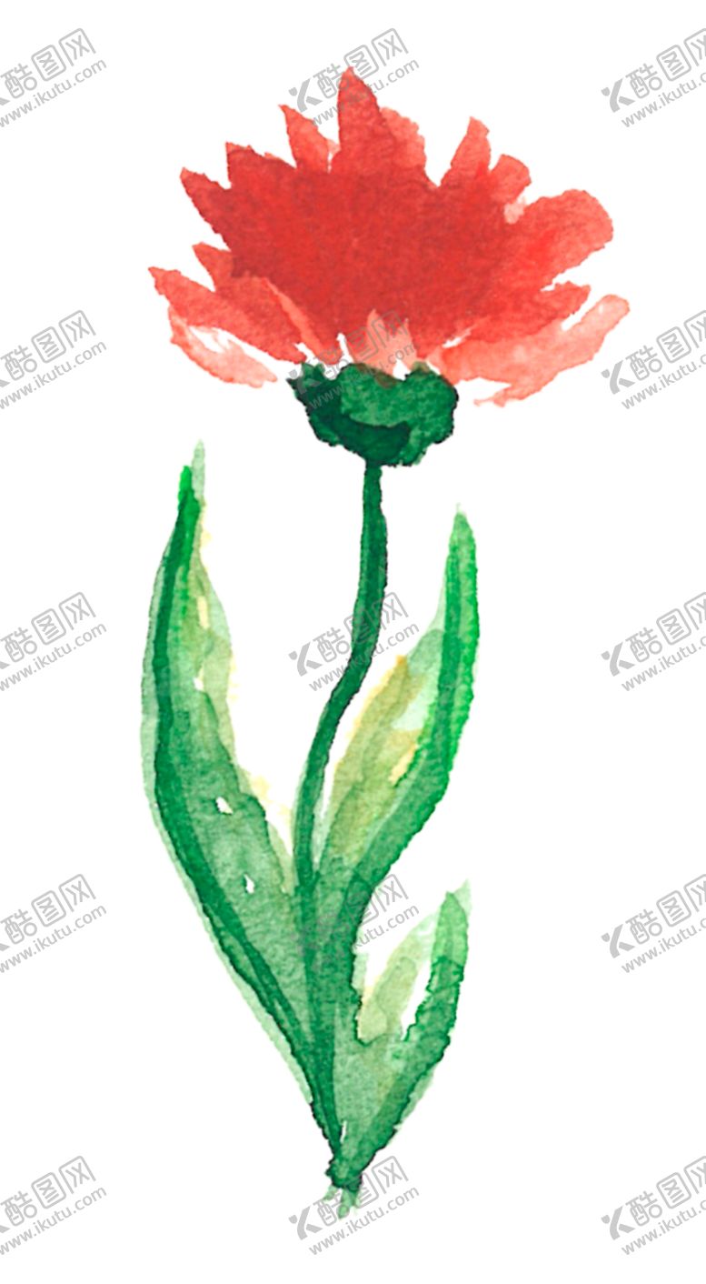 编号：28062402150924397255【酷图网】源文件下载-手绘植物花草