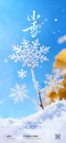 小雪大雪节气稿