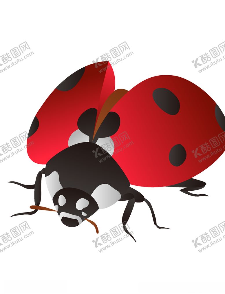 编号：90438705011621483966【酷图网】源文件下载-卡通瓢虫