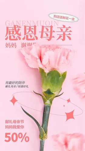 母亲节x展架宣传展板主题