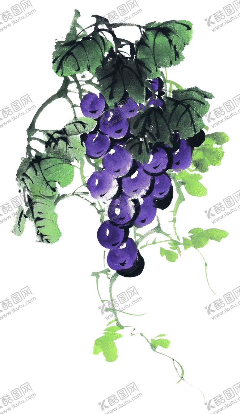 编号：20978405052207511419【酷图网】源文件下载-水墨画葡萄