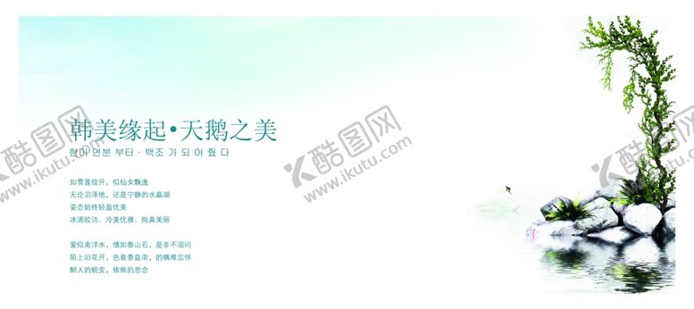 编号：16613404281351196528【酷图网】源文件下载-干净的天鹅背景