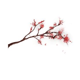 梅花素材