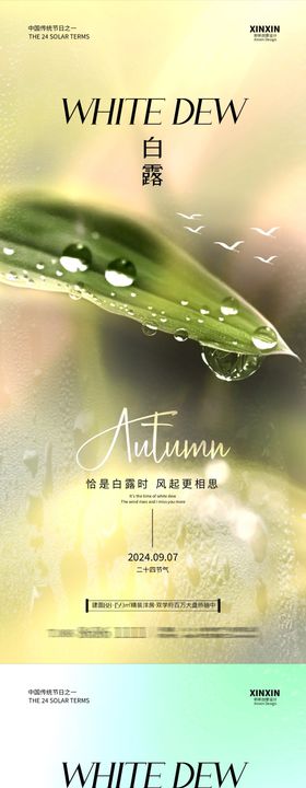 地产白露海报二十四节气叶子房质感
