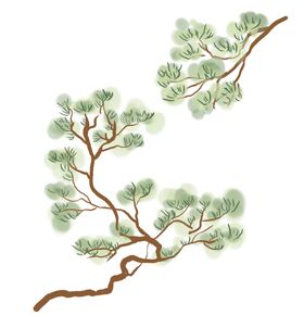 水墨中国风迎客松