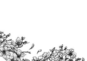 手绘桃花