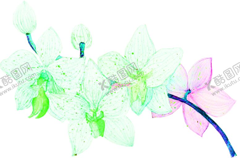 编号：38938509242341093649【酷图网】源文件下载-花素材