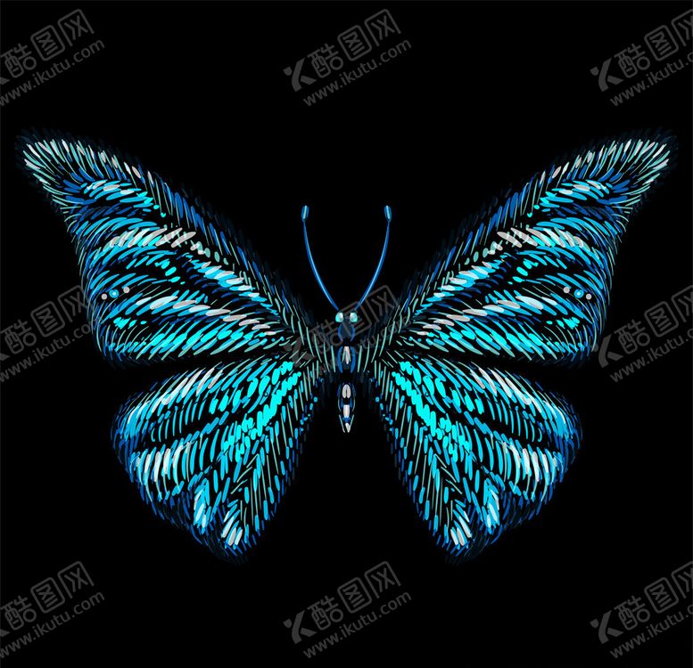 编号：72404510131348411790【酷图网】源文件下载-蝴蝶