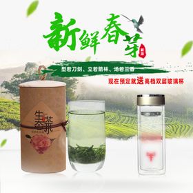 新鲜春茶