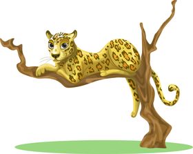 猎豹