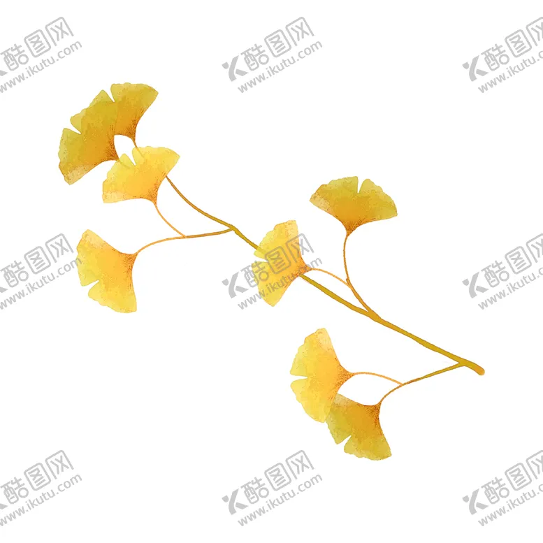 编号：54160005020801596891【酷图网】源文件下载-秋天银杏叶