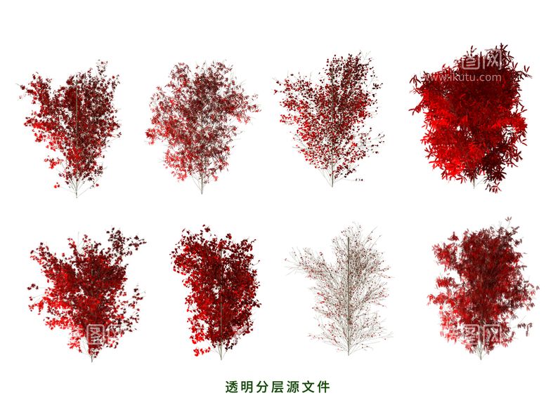 编号：10636611120934057901【酷图网】源文件下载-枫叶