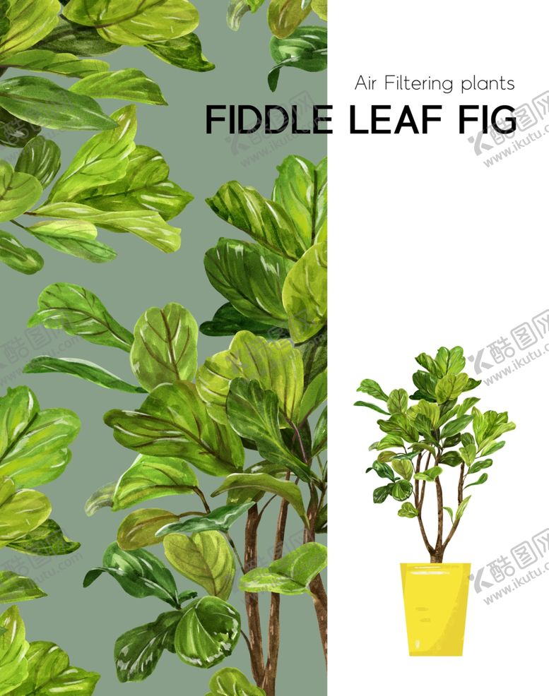 编号：17437109301809016750【酷图网】源文件下载-手绘植物