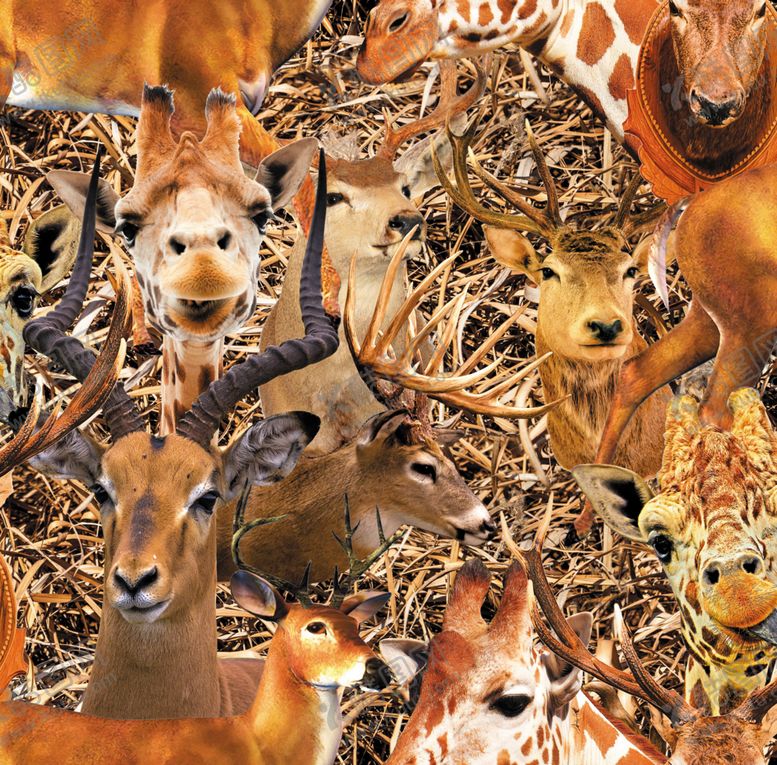 编号：20972010100444571668【酷图网】源文件下载-印花鹿迷彩