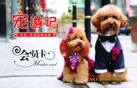 宠物店会员卡
