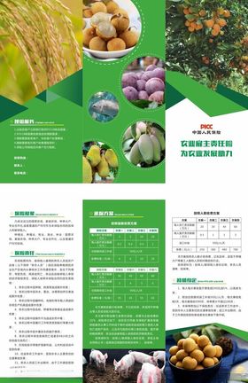 保险三折页