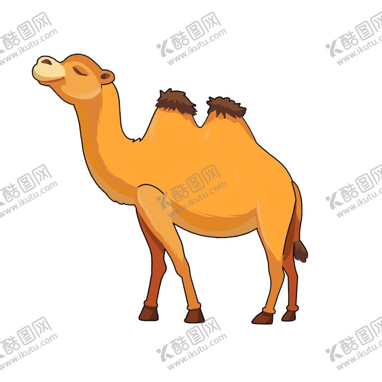 编号：92708307080640286536【酷图网】源文件下载-骆驼卡通图标