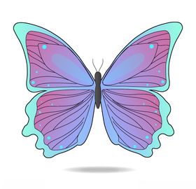 紫色蝴蝶插画