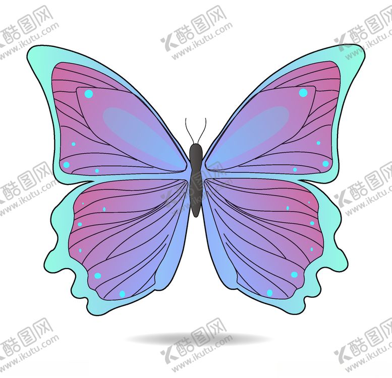 编号：51512606180945594625【酷图网】源文件下载-紫色蝴蝶插画
