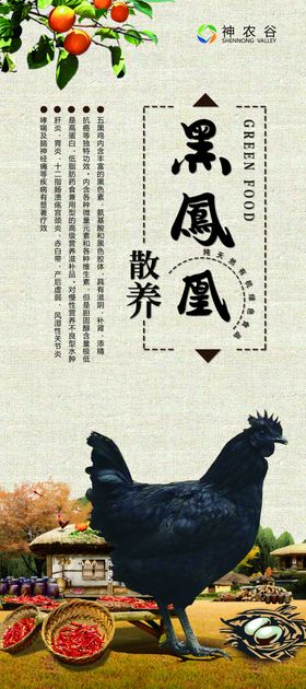 黑凤凰展架