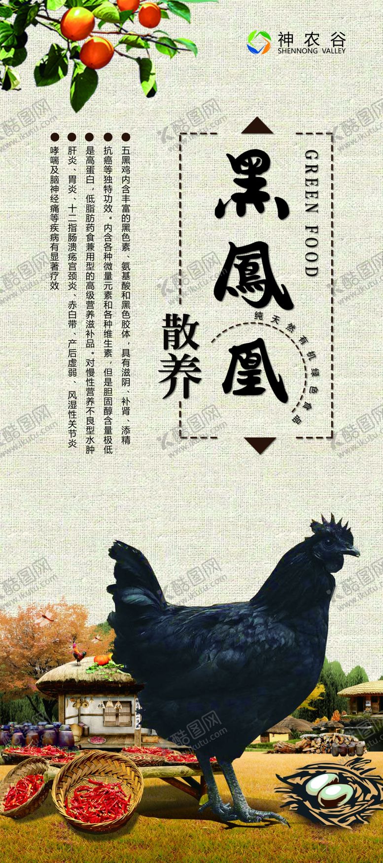 编号：68436306241901152216【酷图网】源文件下载-黑凤凰展架