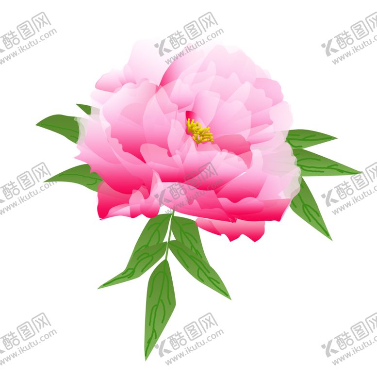 编号：86531410260012391782【酷图网】源文件下载-牡丹花