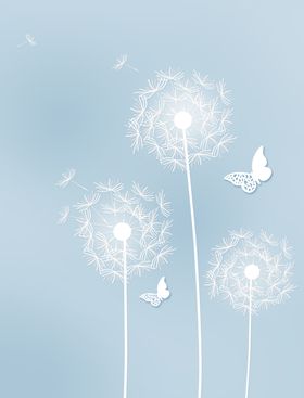 蒲公英