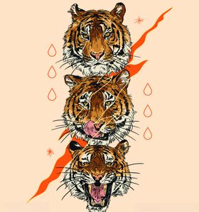 老虎头