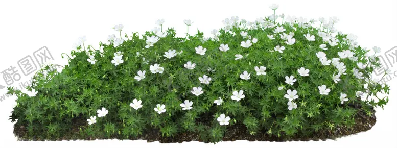 编号：44625802130036314786【酷图网】源文件下载-植物花