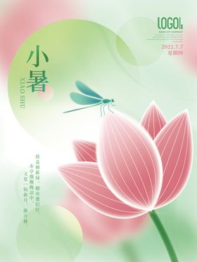 小暑荷花开节气海报