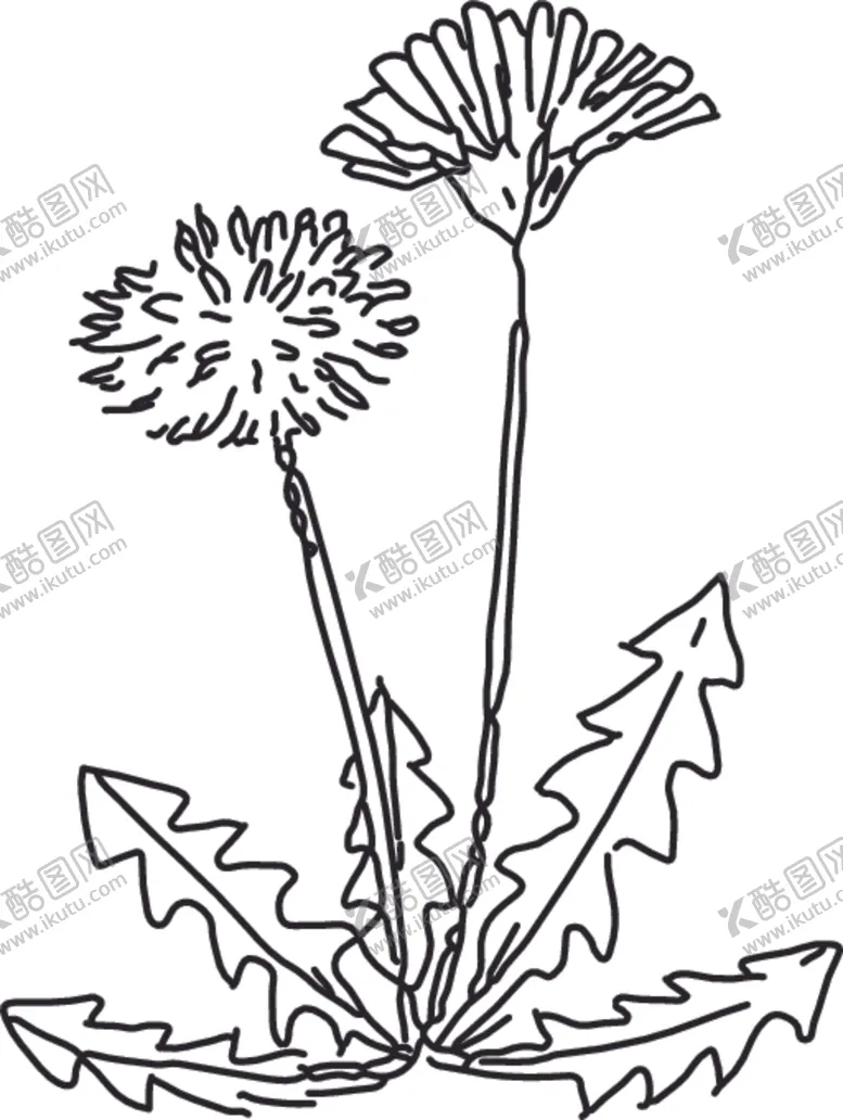 编号：47937607010609111783【酷图网】源文件下载-素描鲜花