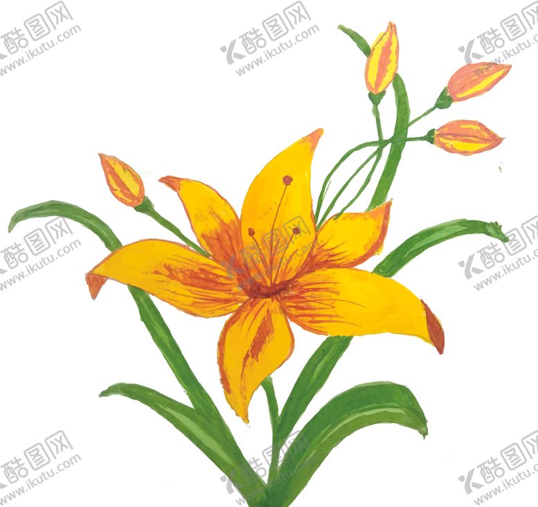 编号：78749401122109057837【酷图网】源文件下载-矢量水彩花朵