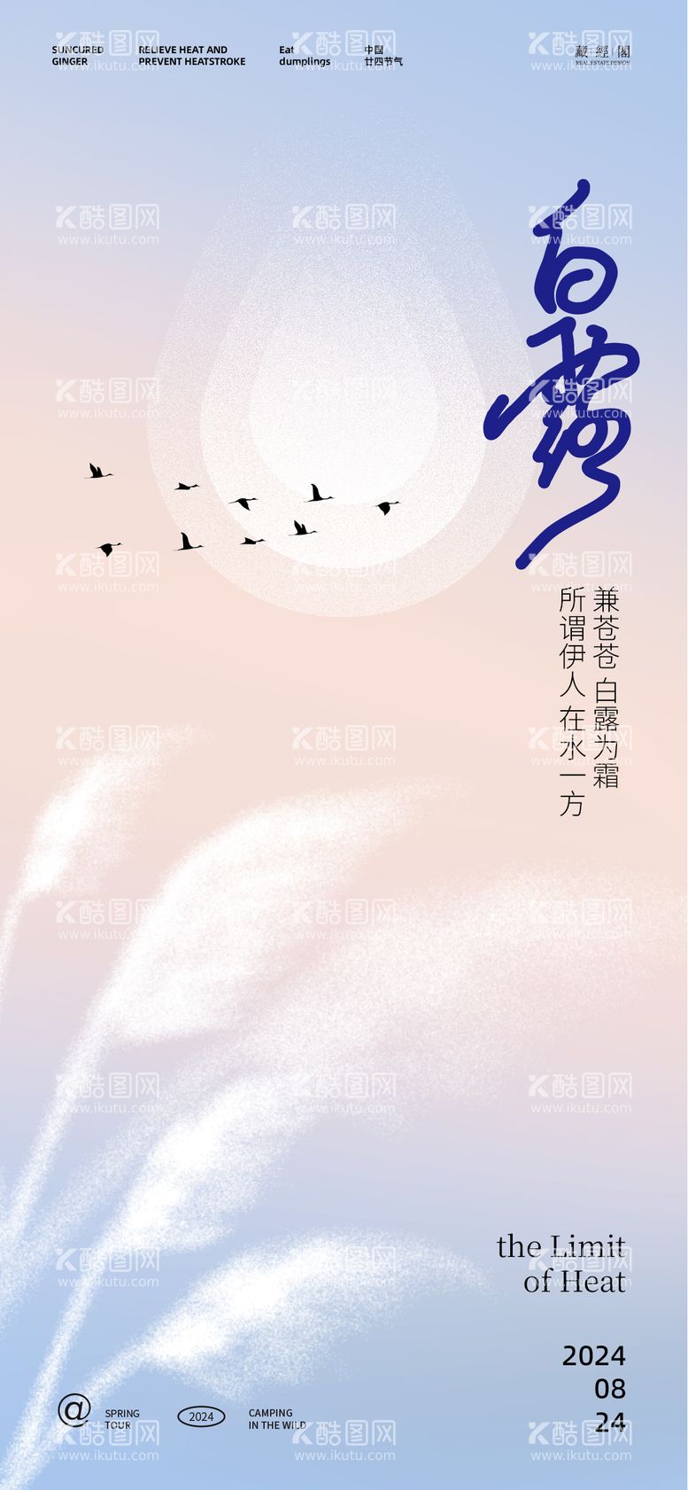 编号：70210712030459595288【酷图网】源文件下载-白露芦苇水滴插画海报