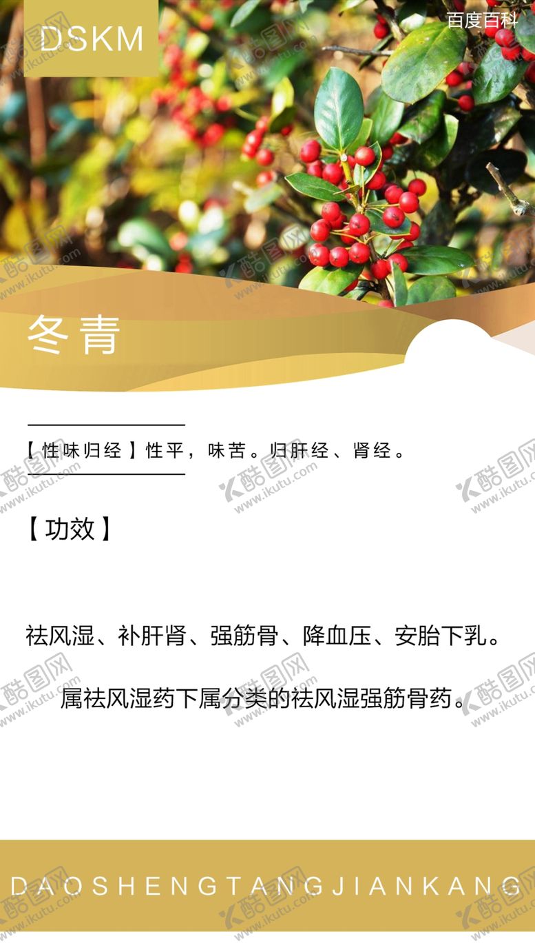 编号：56578010150247557784【酷图网】源文件下载-冬青