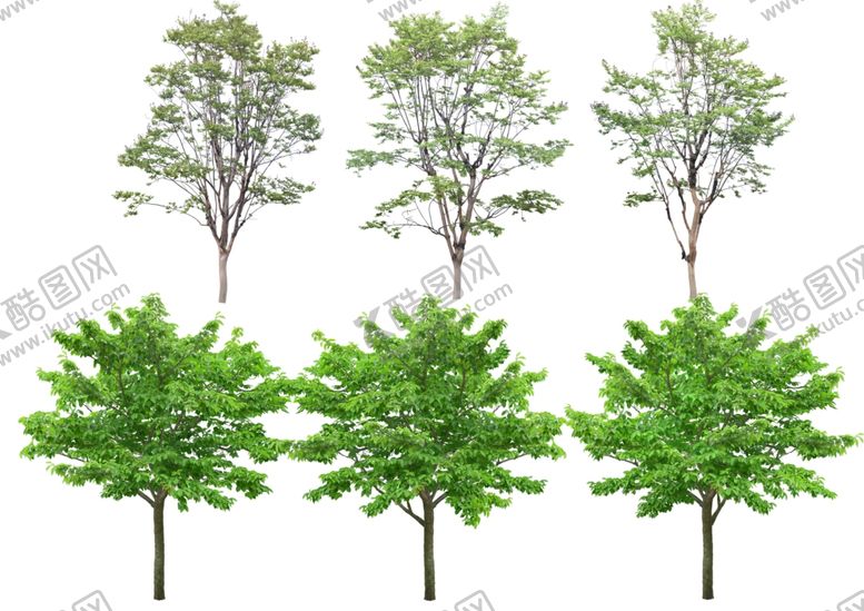 编号：37355009260025218557【酷图网】源文件下载-景观设计高清植物树木素材贴图