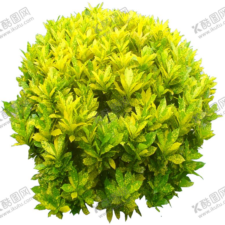 编号：34949009241807161020【酷图网】源文件下载-绿色装饰