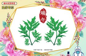 端午节艾叶
