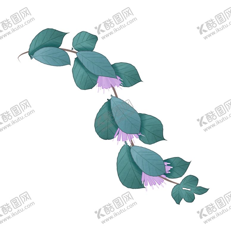 编号：68278204191445396684【酷图网】源文件下载-草本植物药材