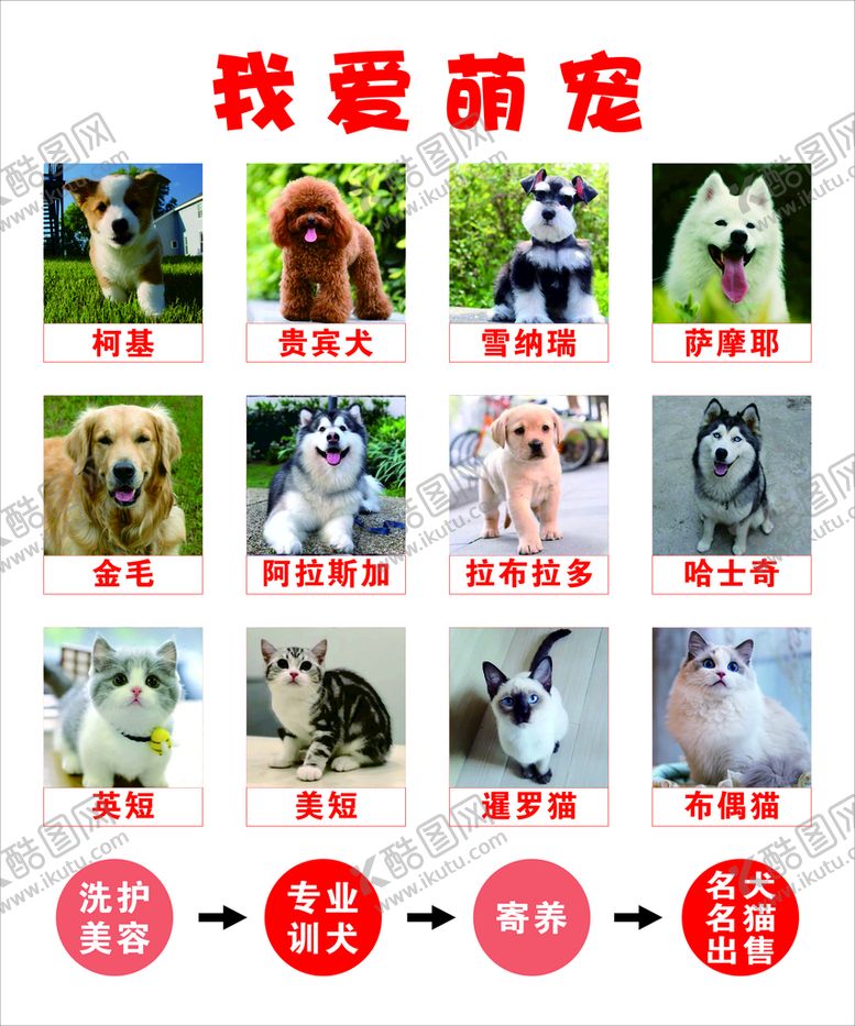 编号：96140302021552506094【酷图网】源文件下载-我爱萌宠