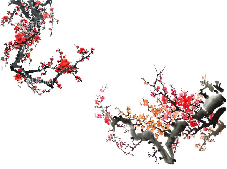 编号：57497611181729397067【酷图网】源文件下载-免扣梅花