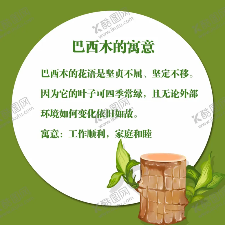 编号：08317209250932034630【酷图网】源文件下载-巴西木