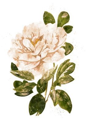 手绘花卉