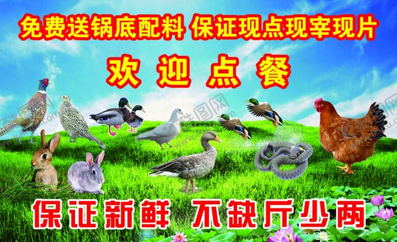 编号：56111109230155527552【酷图网】源文件下载-野生食物野味广告图片