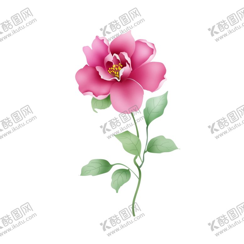编号：52890601301013505241【酷图网】源文件下载-茶花