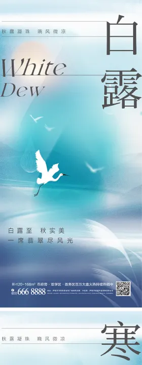 白露寒露海报