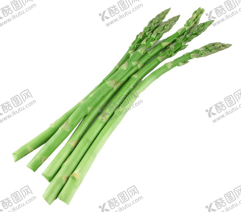 编号：77276305110458433656【酷图网】源文件下载-竹笋图片