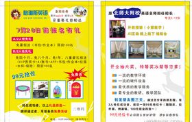 DM传单