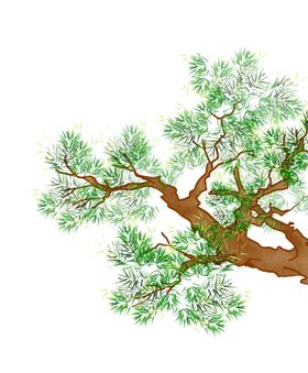 水墨中国风迎客松
