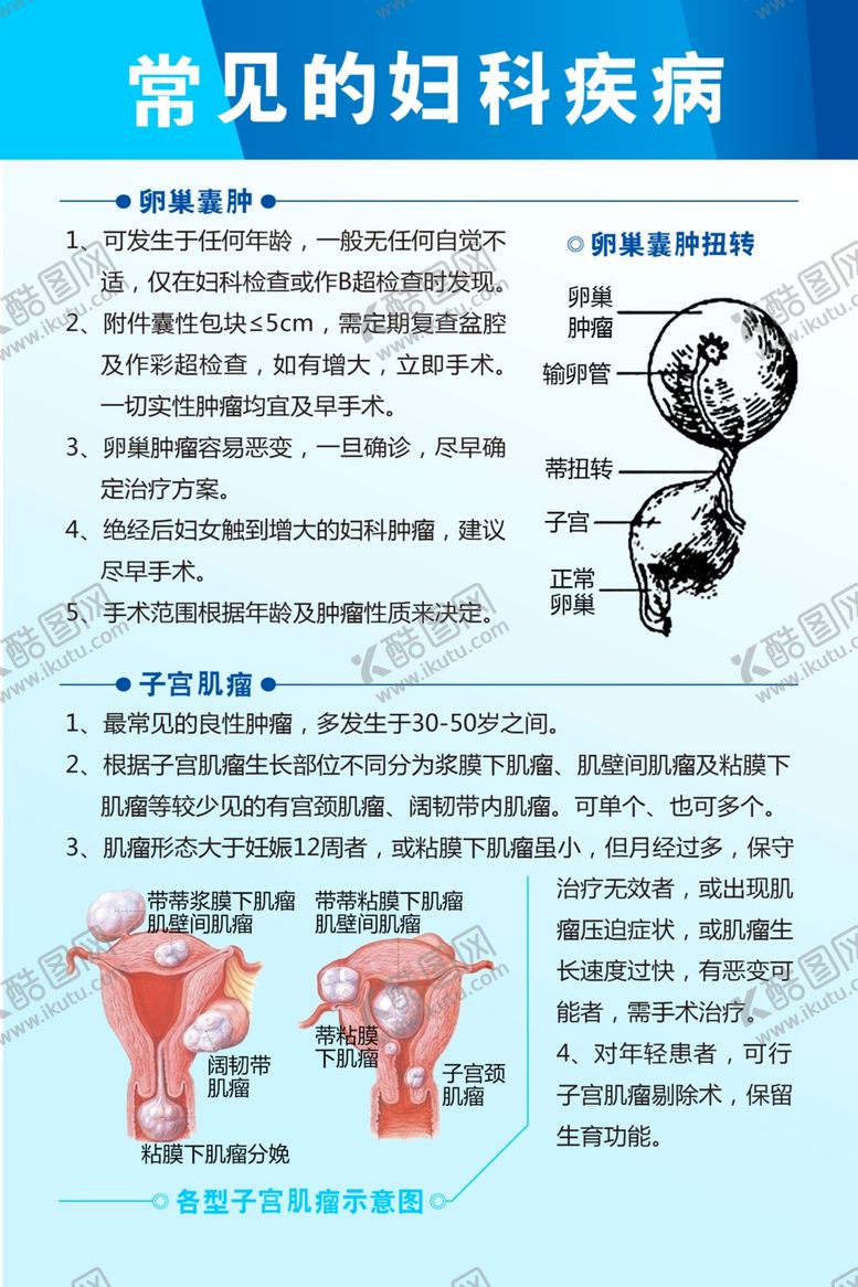 编号：80743301210308218848【酷图网】源文件下载-常见的妇科疾病