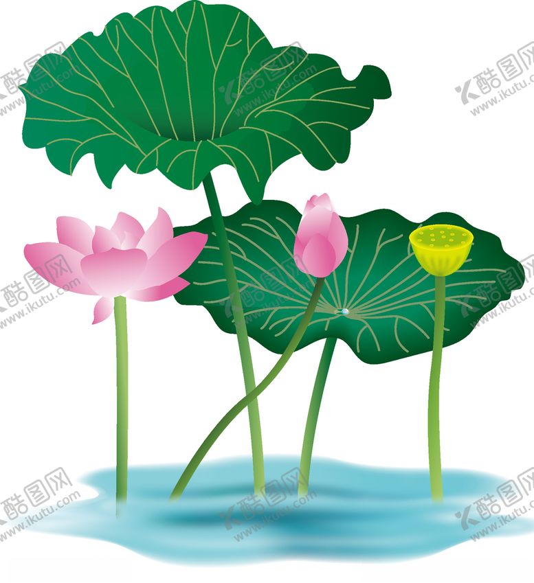 编号：14964805040240169753【酷图网】源文件下载-荷花